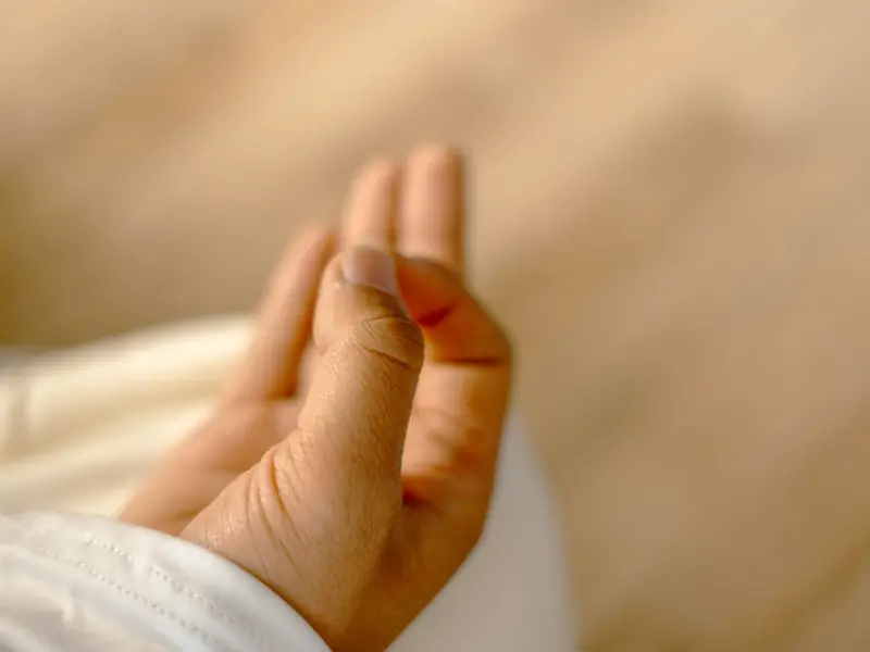 yoga mudras Technique in 200 hrs yttc